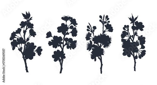 Four silhouette branches of delicate flowers with leaves artistic botanical design elements vector