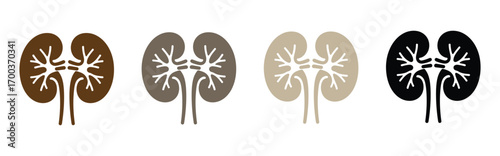 Human kidney silhouette vector, human kidney icon