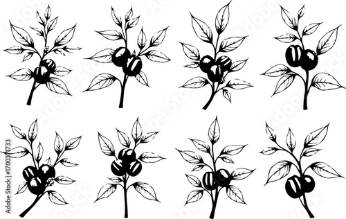"Coffee Pot Silhouettes Collection – Moka, French Press & More"
