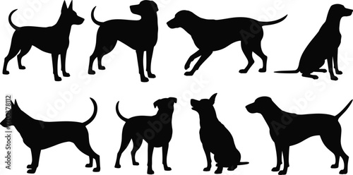 Silhouettes of various dog breeds in different poses, standing, sitting, walking, black shape, canine profile, pet animals, isolated on white background