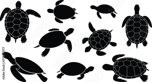 Turtle silhouettes in various swimming and walking poses, detailed shell patterns, aquatic reptiles, sea turtles, marine wildlife, vector turtle art collection