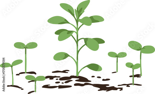 Young green plant seedlings growing from soil in early stages of growth vector illustration