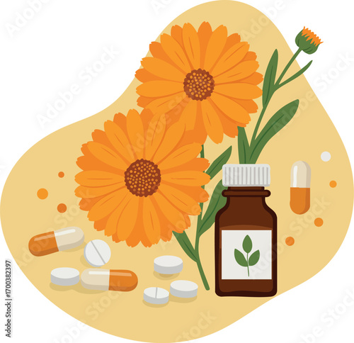 Herbal Medicine Bottle with Calendula Flowers and Pills for Natural Health and Wellness Care Vector Illustration