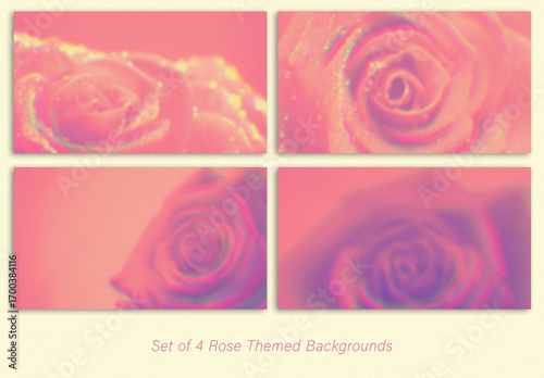Set of Rose Themed Backgrounds