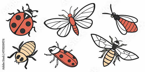 Assortment of insects