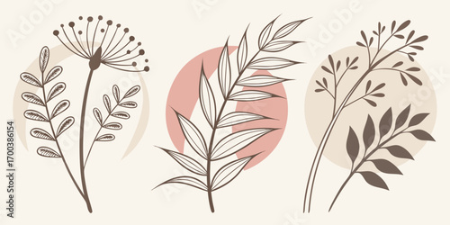 Botanical illustration with abstract shapes and leaves