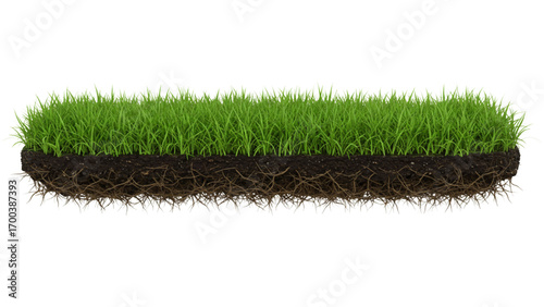 High-Resolution Close-Up of Vibrant Green Grass with Visible Roots, Detailed Soil and Botanical Texture, Horizontal Composition on White Background