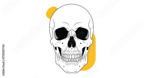 Artistic representation of a human skull with abstract yellow shapes on a white background