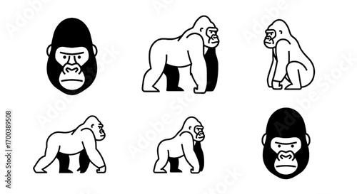 Gorilla Outline Illustrations Primate Icons in Vector Format