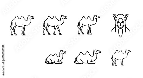 Collection of minimal outline icons depicting camels in various poses on a white background