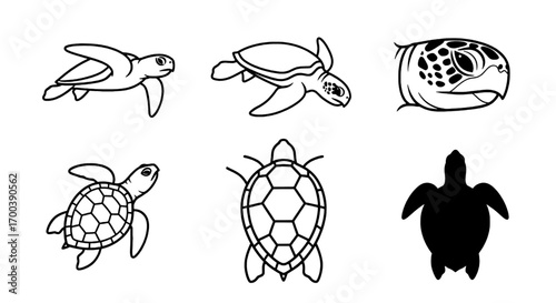 Sea Turtle Outline Set Marine Life Vector Graphics