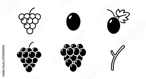 Grape Icon Set Black and White Line Art Illustrations for Food and Nature Themes