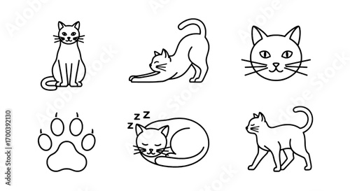 Collection of Simple Cat Outline Icons for Design Projects