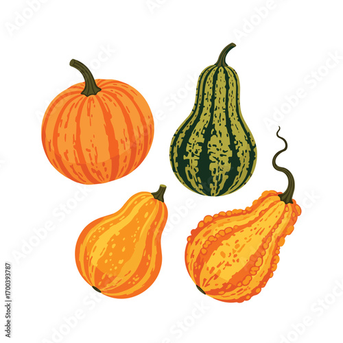 Four assorted gourds and pumpkins displayed together