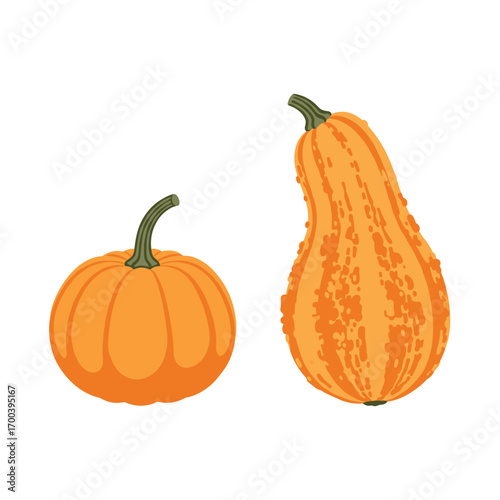 Two autumn pumpkins of different shapes and sizes