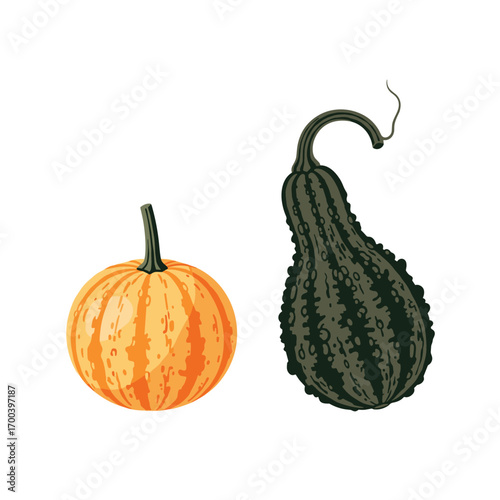 Two gourds one round and one long with green stripes