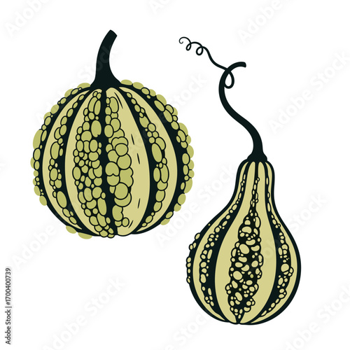 Two decorative gourds with textured surfaces and striped patterns