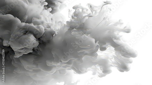 Abstract Gray And White Ink Cloud
