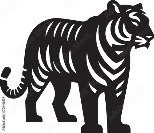 tiger vector illustrations