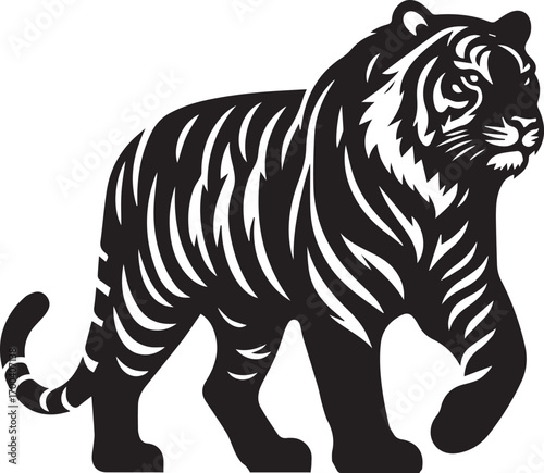 tiger vector illustrations
