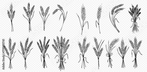 Collection of black and white wheat sheaf illustrations, some tied with string or ribbon.
