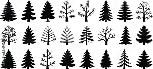 Collection of pine tree silhouettes, winter and Christmas tree icons, forest elements set, evergreen tree vector illustration, holiday nature symbols 