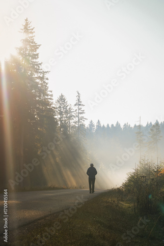 walking in the fog forest