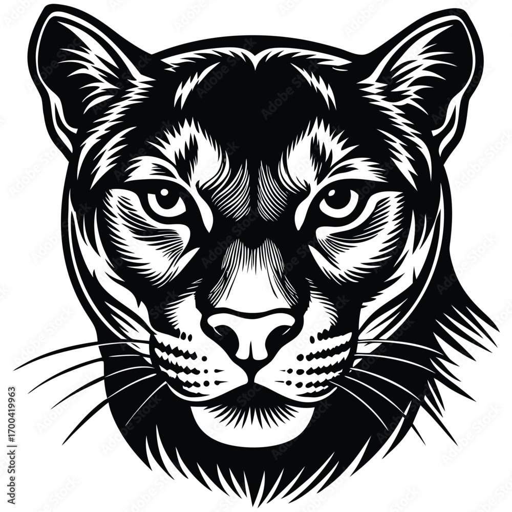 Fototapeta premium cougar