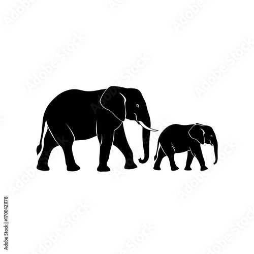 Two elephants walking silhouette isolated on white background