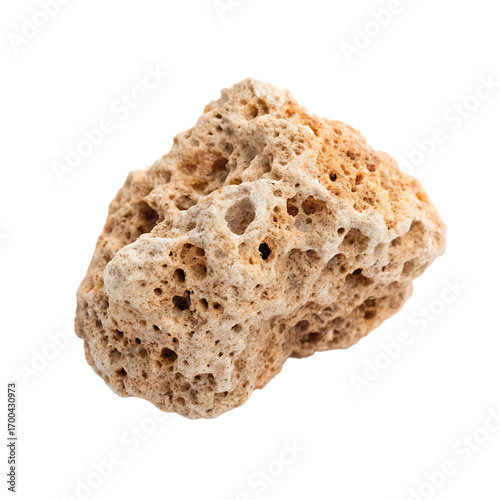 Fototapeta Naklejka Na Ścianę i Meble -  Single weathered dead coral reef piece isolated on a transparent background png