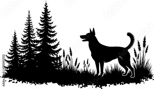 Silhouette of Dog in Forest Clearing"