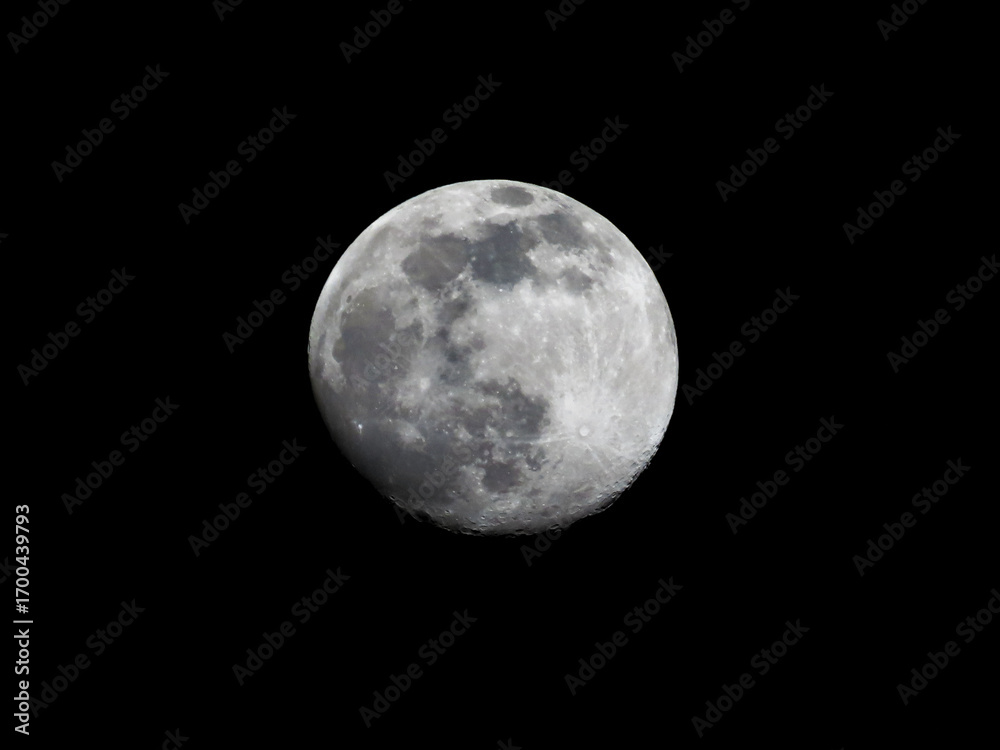Naklejka premium Almost Full Moon