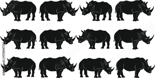 Flat vector illustration of multiple black rhinoceros, wild animal silhouettes, African wildlife, safari, nature, endangered species, exotic fauna design