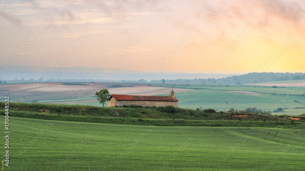 Obraz premium a church at dawn among the green wheat fields of May along the twelfth stage of the Camino de Santiago From San Juan de Ortega to Burgos