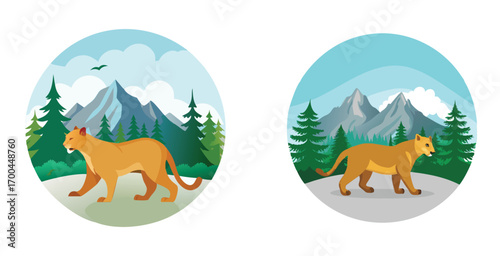 Cougar in conifer valley powerful wild cat walking vector art design illustration