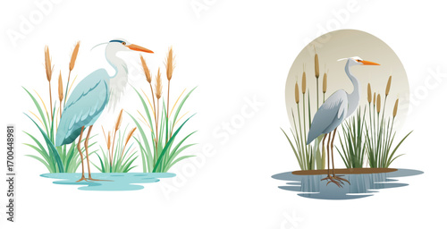 Elegant heron standing poised among tall marsh reeds vector art design illustration
