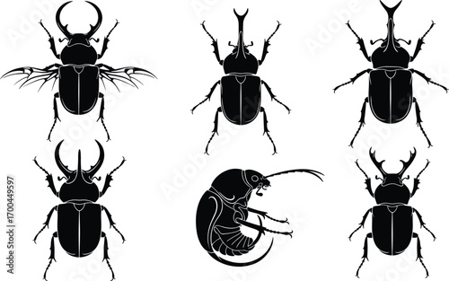 Flat vector illustration of various black silhouette rhinoceros beetles, stag beetles, and insects, detailed bug drawings, insect collection.