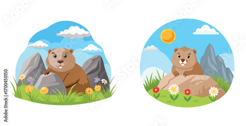 Marmot peeking from boulder plump furry rodent vector art design illustration