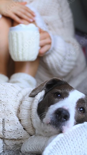 Vertical screen woman wearing a knitted sweater enjoys a warm beverage with marshmallows while her staffordshire bull terrier rests nearby, creating a cozy winter scene