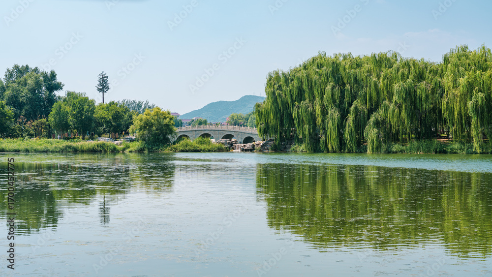 Fototapeta premium lake in the forest