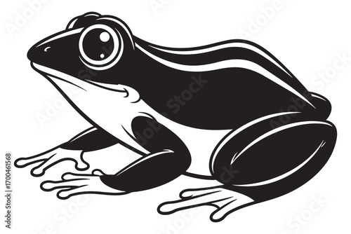 Illustration of a frog isolated on white background, showcasing its smooth skin, bulging eyes, and webbed feet in a striking black and white composition vector illustration