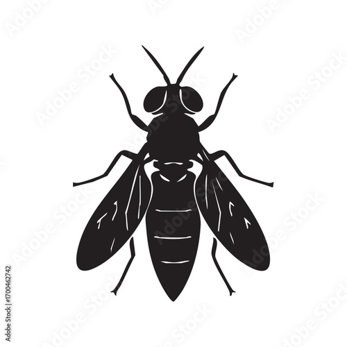 vector illustration of a wasp