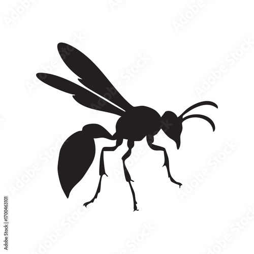 Set of black ants and insects vector illustration.