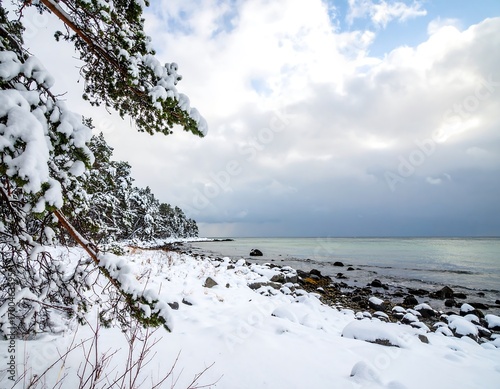 Snowy winter beach scene