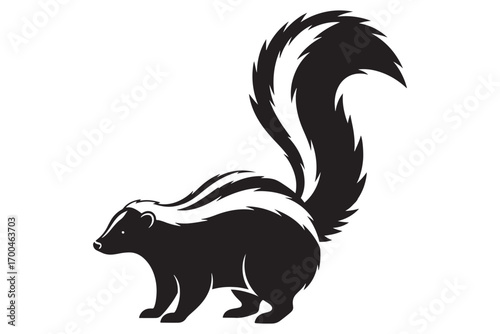 A skunk with its distinctive black and white stripes and bushy tail, standing alert, isolated on white background it is a classic representation vector illustration