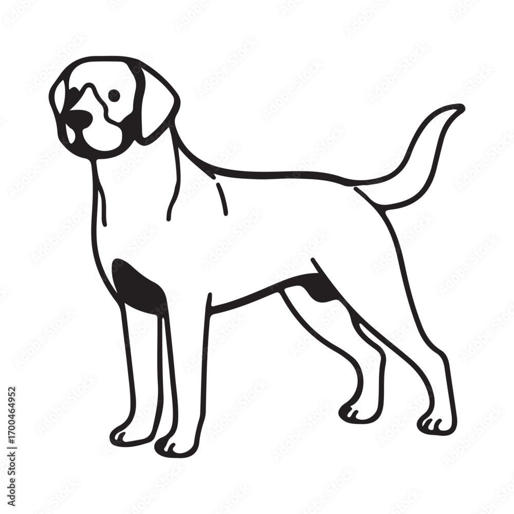 Fototapeta premium Labrador Silhouette dog 