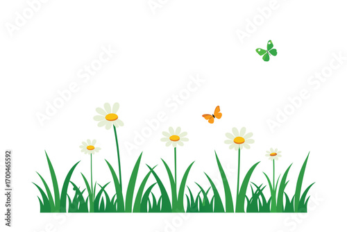 Grass Border with Chamomile Flowers and Butterflies