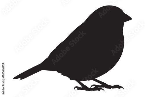 A silhouette of a bird isolated on white background, perched gracefully with its sleek body and delicate legs in a simple yet elegant black design vector illustration