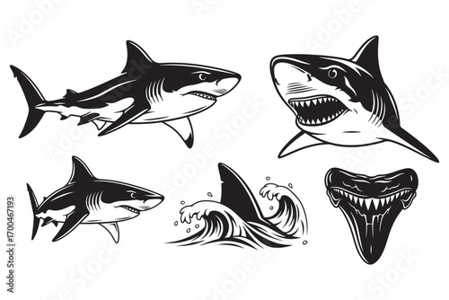 A captivating illustration isolated on white background showcasing a collection of sharks, their teeth, and a wave, all rendered in striking black and white vector illustration