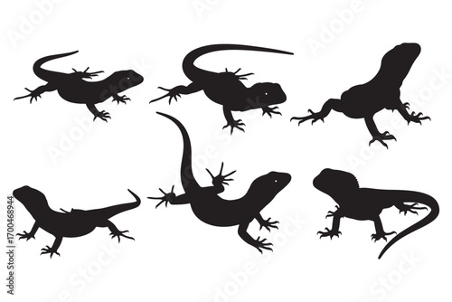 Six lizard silhouettes, isolated on white background, showcasing diverse poses and body shapes of these fascinating reptiles in a striking monochrome display vector illustration